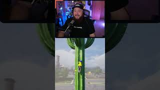 Were Gonna Say These Are Screams Of Joy On