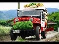 Jeep Willys en Colombia - Historia de las pequeñas Mulas Mecánicas - TvAgro por Juan Gonzalo Angel