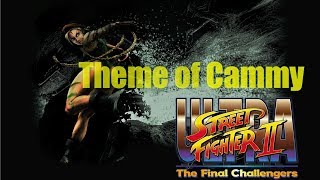 Ultra Street Fighter 2 / Theme of Cammy：キャミィ テーマ