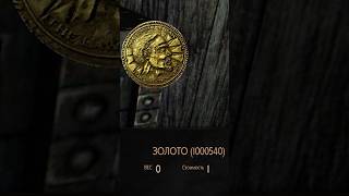 Довакин задонатил Ирвингу 1000000 золотых #skyrim #дедирвинг #tesfan