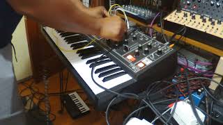 MPC + Matriarch = Analog Drum Processing Secret (Envelope Trigger Trick)