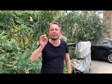 1 Günümü nasıl geçiriyorum