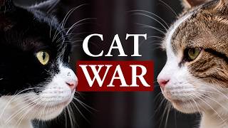THE CAT WAR That Shook Downing Street | Larry vs Palmerston