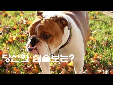 [심리테스트]당신의 심술보는?