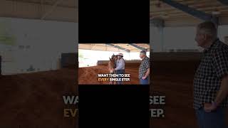 When you are training your mule, you want them to see every single step.  That means being clear, be
