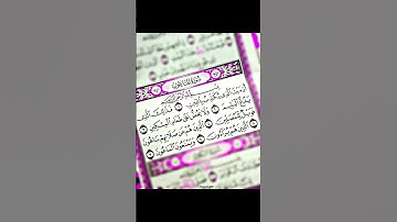 سورة الماعون #قرآن_كريم #قرآن #قران_كريم #قرأن #تلاوة_خاشعة #تلاوة #تلاوة_هادئة #الماعون #تلاوت