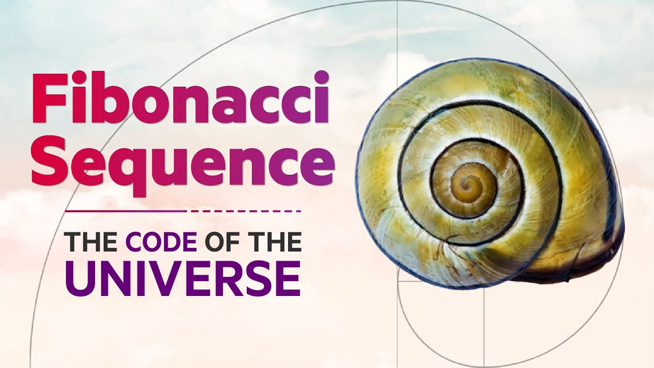 Finding The Pattern of Universe | Fibonacci Sequence | Golden Ratio ...