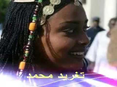 ابراهيم الكاشف باسم الحب اقدم ليك حياتى تغريد محمد