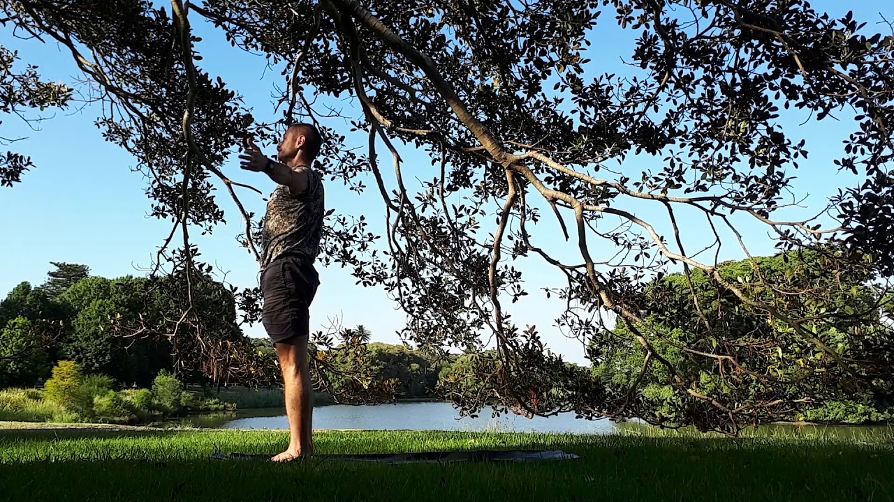 Yoga Under The Fig Tree Youtube