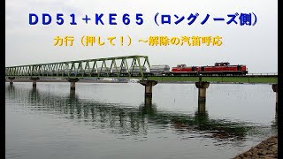 2014-04衣浦臨海鉄道DD51訓練運転5573レ（重連）