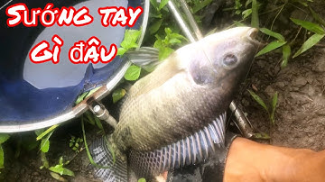 Câu Đài Tự Nhiên - Dính Con Rô Phi Cụ To Chà Bá / Yêu Lắm Miền Tây