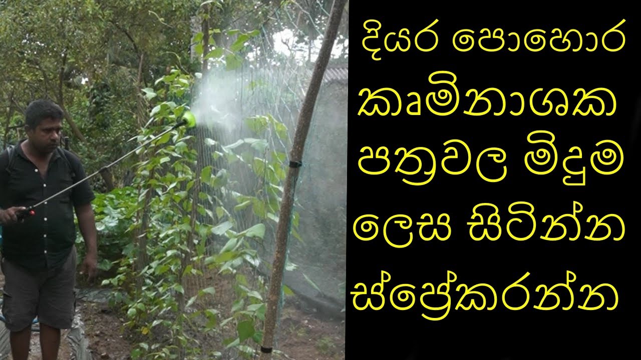 දියර පොහොර කෘමිනාශක ස්ප්‍රේ කිරිමට සුදුසුම ටැංකිය The most suitable tank for spraying liquid