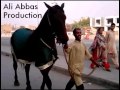 Ali abbas production