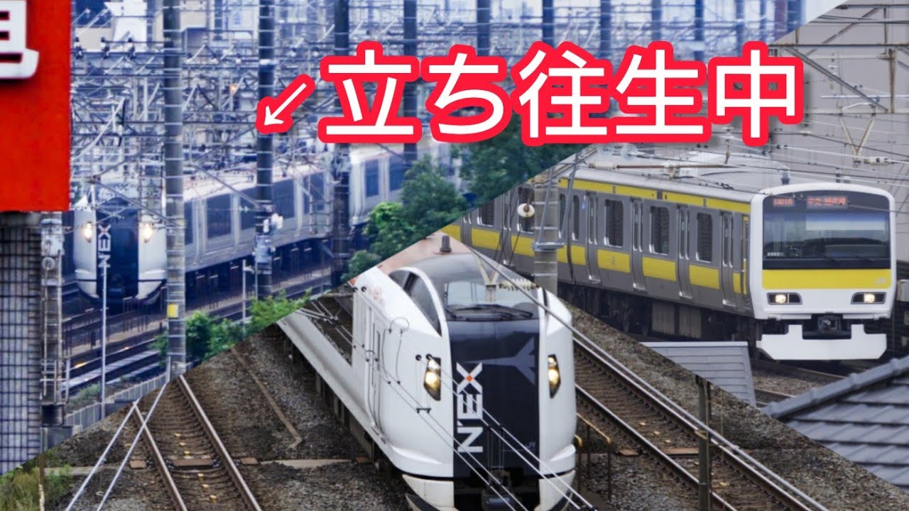 不可解な不緩解？】成田エクスプレスがブレーキ不緩解で立ち往生 復旧