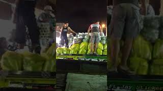 Download Lagu Modifikasi mobil sayuran jinah sari tabanan MP3