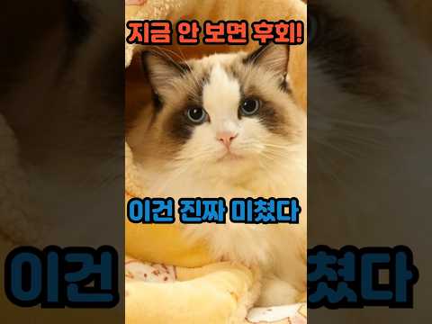 ❄️ [겨울 필수템] 강아지/고양이 꿀잠 보장! 바닥 냉기 완벽 차단 '마약 극세사 매트' #강아지매트 #고양이방석 #강아지방석 #고양이매트 #마약방석 #강아지침대 #집사필수템