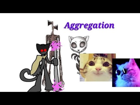 Aggregation (Slideshow Animation) - YouTube