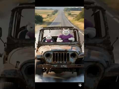 تنمر على القط مياو عشان عربيته قديمة شوف بسبوس عمل إيه