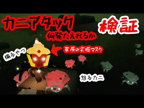 究極の面⛔検証⛔【sky星を紡ぐ子どもたち】