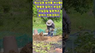 친환경 퇴비 만들기 비료만 줄수있나요#주말농장
