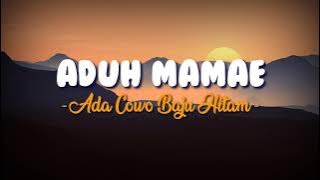 Aduh mamae ada cewe baju merah bikin saya terpana | lirik lagu | lyric (TIKTOK VIRAL)