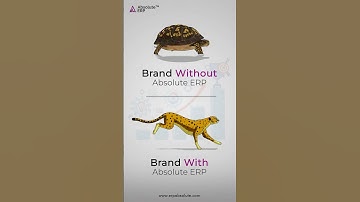 Grow your business with Absolute ERP