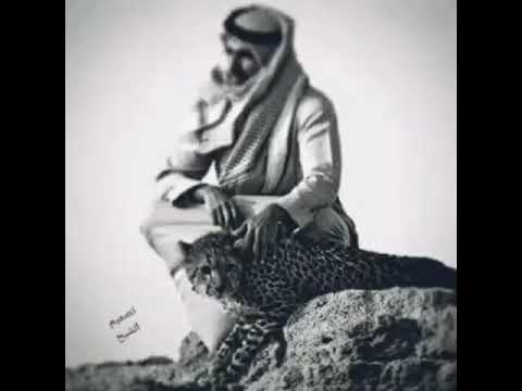 ابو بكر سالم بلفقيه اغنيه الصدق والكذب اغنيه روعه
