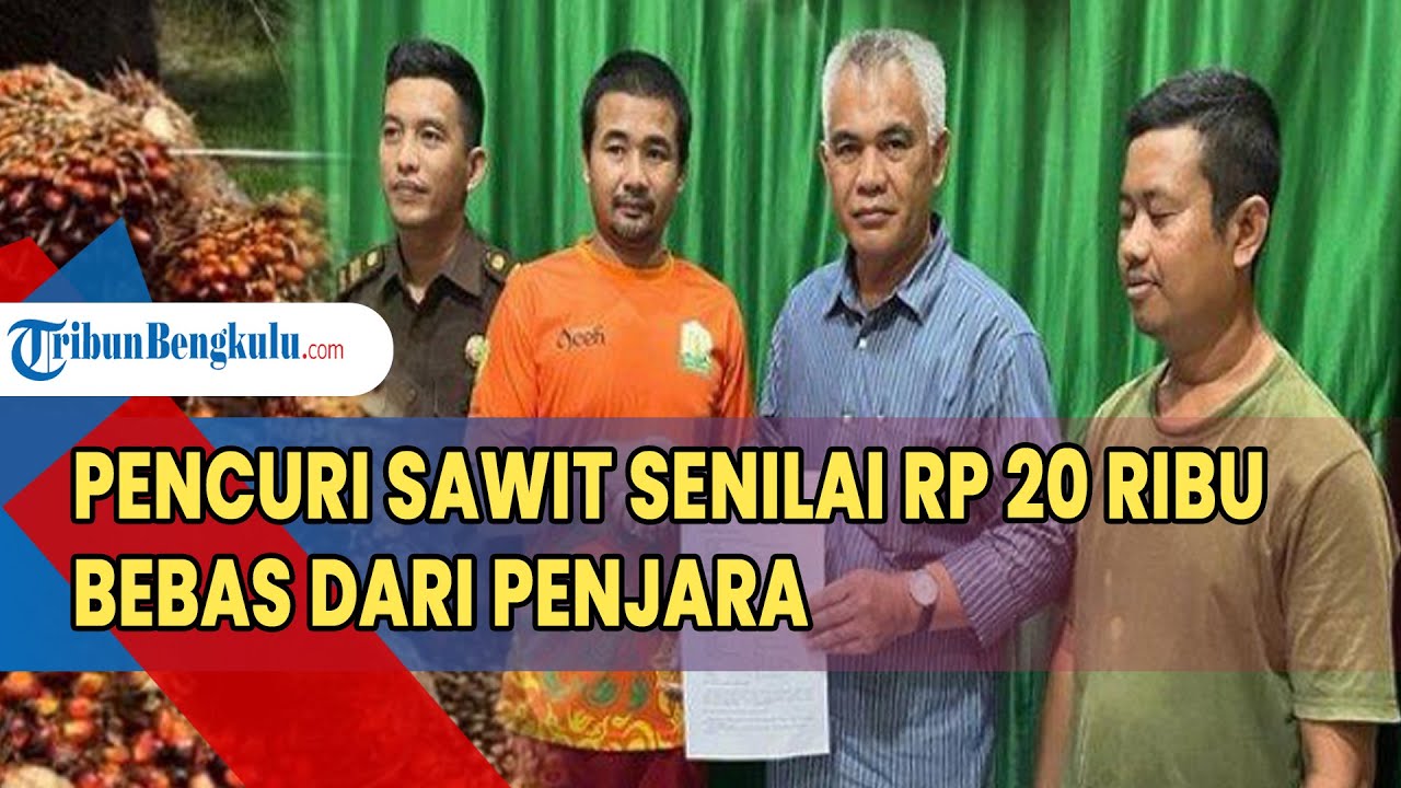 Pencuri Sawit Senilai Rp 20 Ribu Bebas dari Penjara, Tempuh Jalur Restorative Justice