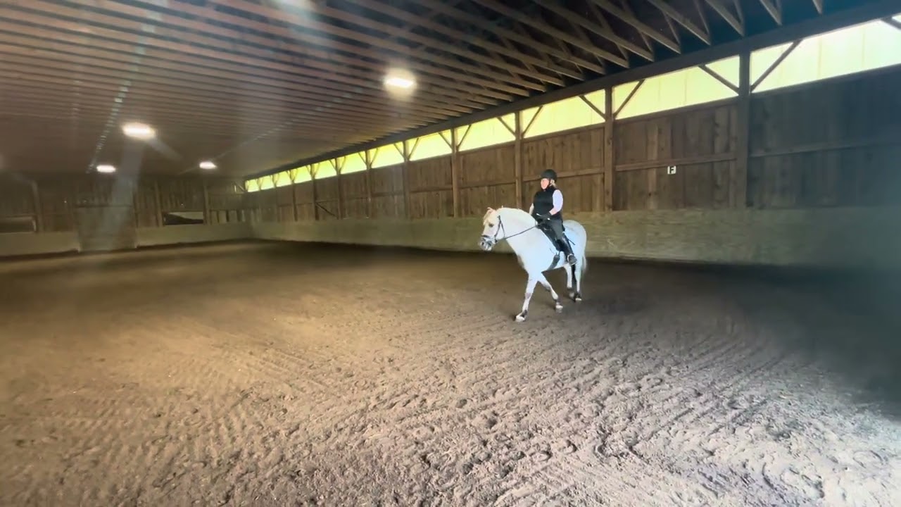 Thor (Pony Boy) and KK Bochman - 30 days to round 2025