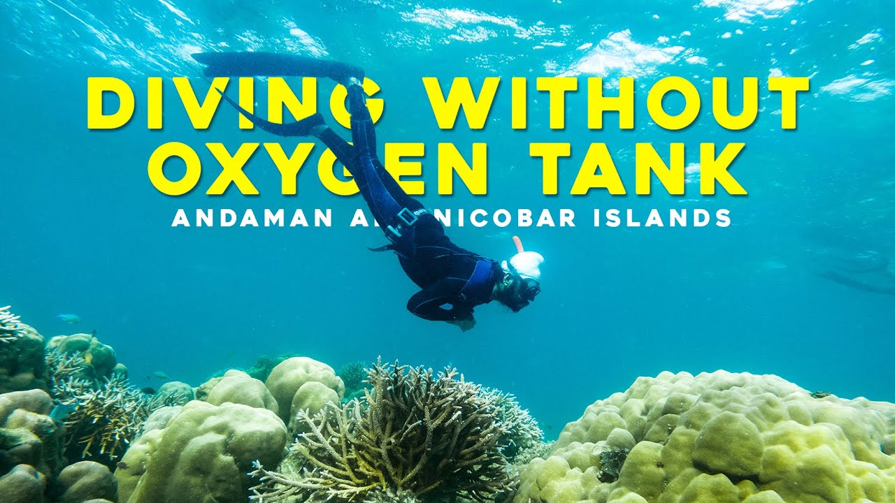 What is Free Diving ? Is it Safe? Andaman and Nicobar Islands 