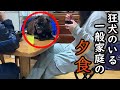 うちとまだらの普段の夕食はこんな感じ！