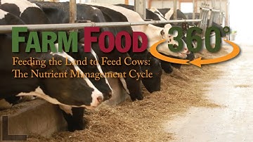 Feeding the Land to Feed Cows: The Nutrient Management Cycle