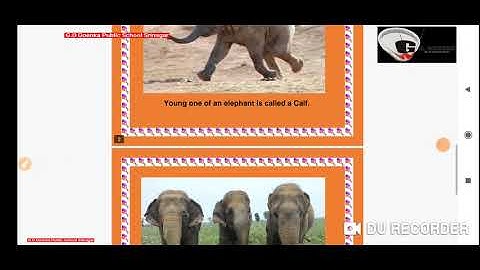 Grade KG evs dated 1 6 2021