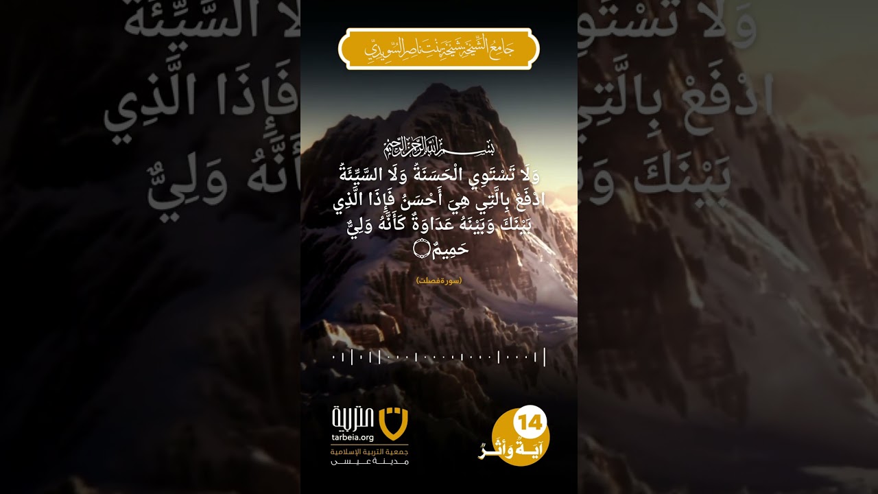 آية وأثر (14)