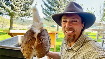 Our Final Days of Packing in Montana Before Our Journey North to Alaska