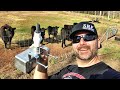 You've never seen livestock watering system like this! Automatic No Electricity!