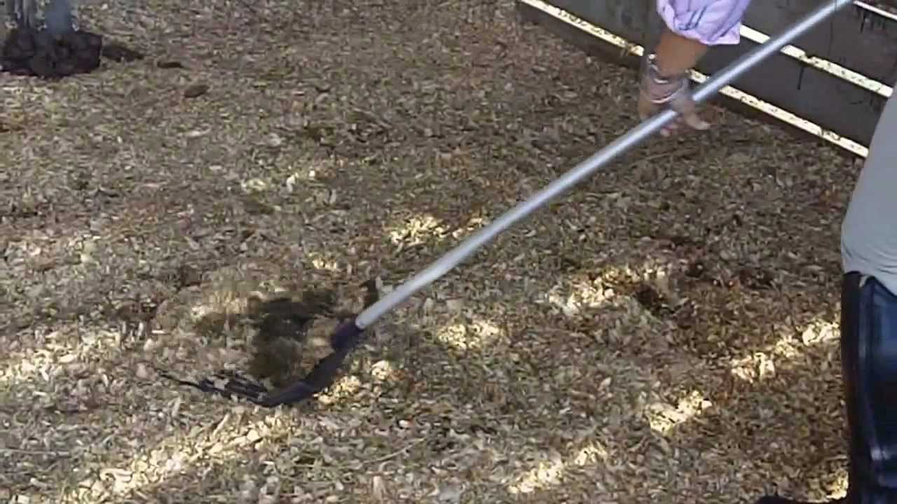 How To Clean A Horse Stall YouTube