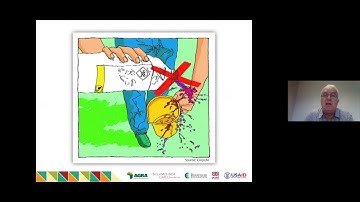 Module 1: Responsible Use of Agrochemicals when Combatting Fall Army Worm