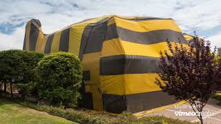 Termite Control & Fumigation Long Beach CA   Affordable Termite Control Long Beach