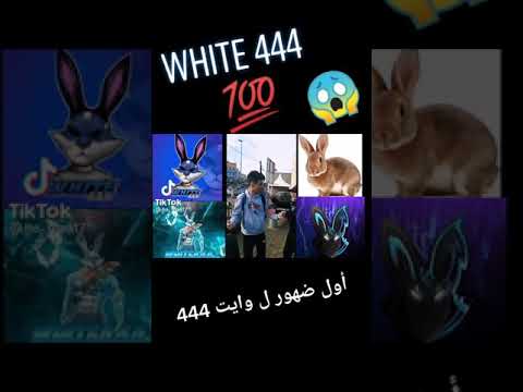شاهد صورة وايت 444 يخدم لصديقه هاك