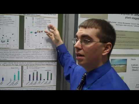 spider monkey Sean Halloran Interview