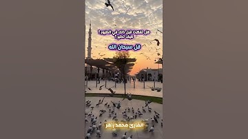 انظر إلي الطير #تلاوة_خاشعة #سورة_النحل  #القارئ_محمد_زاهر #الشيخ_محمد_زاهر