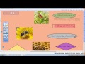 شرح مفهوم القرائية وتطبيقة على درس الفراشة والنحلة للصف الثانى الابتدائى