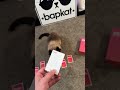 New game