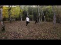 GT Crew - Jungle Kids
