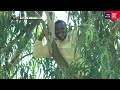 Highlights Tanzania 2 1 Senegal CECAFA 3 Nations Tournament 27 07 2025 Highlights Tanzania 2 1 Senegal CECAFA 3 Nations Tournament 27 07 2025