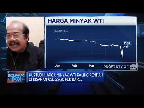 Kurtubi: Selamatkan Industri Migas, Harga Minyak WTI Minimal USD 30