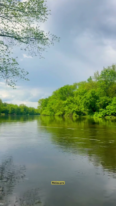 Phil Collins | Another Day In Paradise. #music #lovesong #nature #usa #philcollins #travel #love