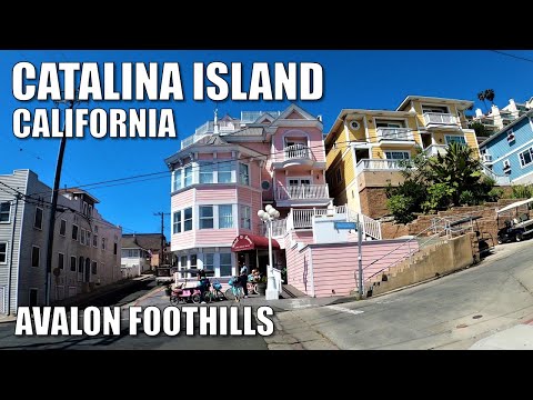 Wideo: Avalon and Catalina Island, Kalifornia Galeria zdjęć