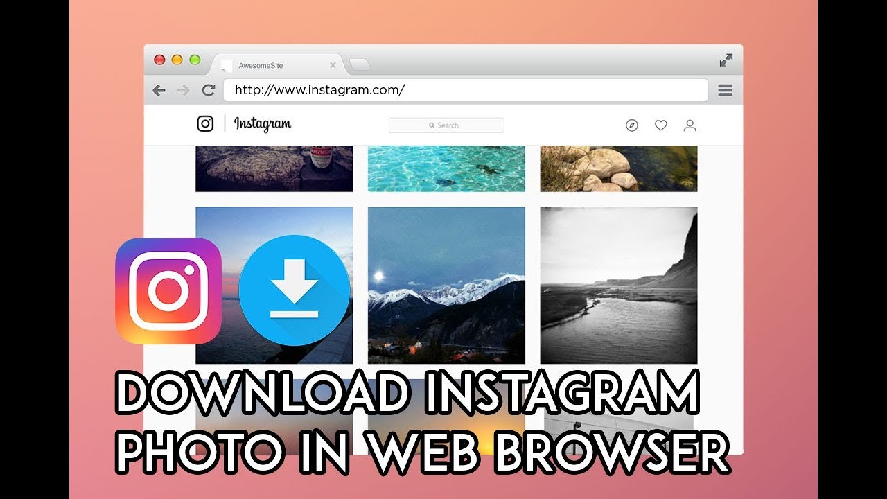 instagram download website